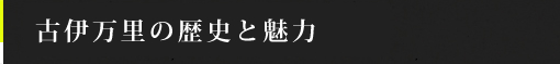 古伊万里の歴史・魅力