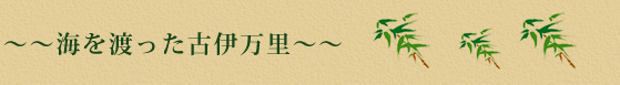 海を渡った古伊万里