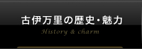 古伊万里の歴史・魅力