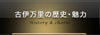 古伊万里の歴史・魅力